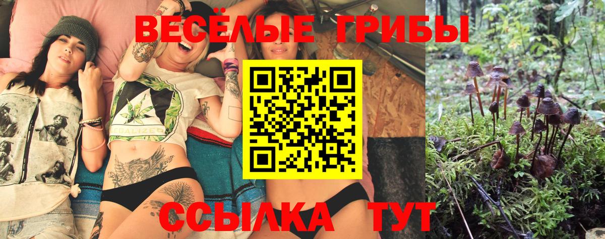 Краснокаменск  Галлюциногенные грибы Cubensis  Вход с VPN 